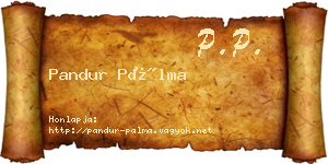 Pandur Pálma névjegykártya
